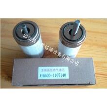 天然氣汽車燃?xì)鉃V芯