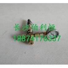 批發(fā)原裝正品攪拌機配件，三一JX3000潤滑油泵芯