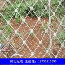 邊坡防護(hù)網(wǎng)|廠家直銷全國各地各種防護(hù)網(wǎng)|護(hù)欄網(wǎng)